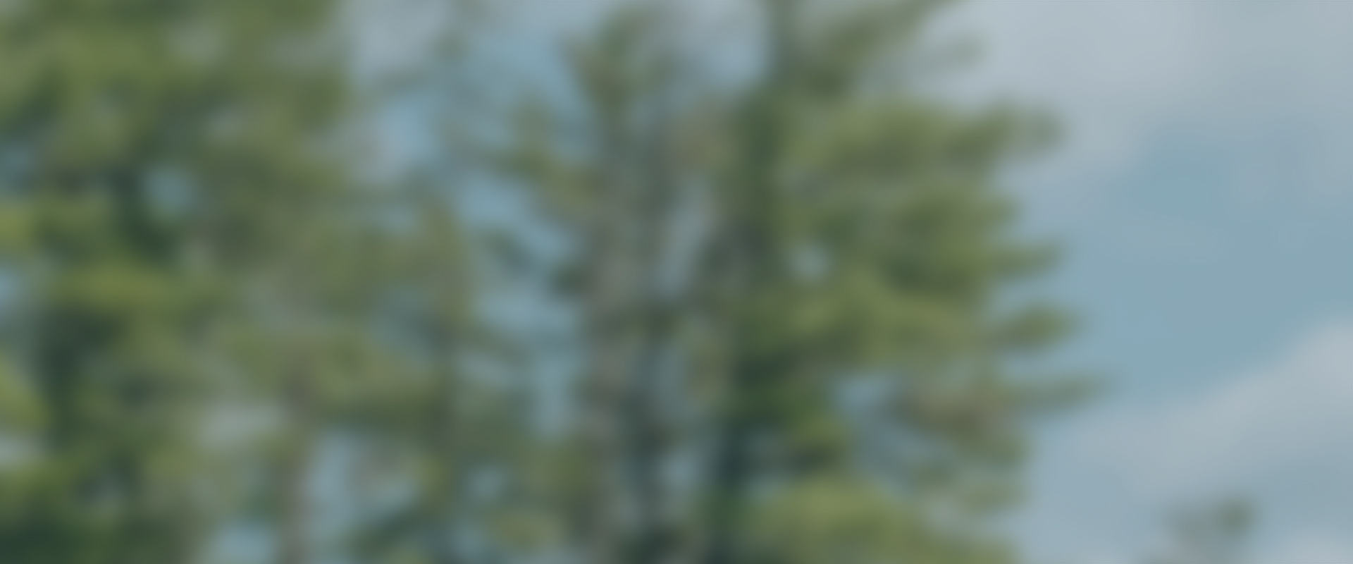 Shop our end of season sale with up to 50% off when you use your 10% off promo code. Image features a blurred tree.