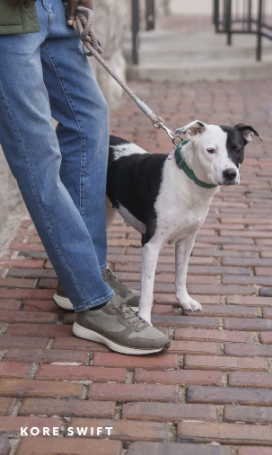 Men's Casual Shoes category. Image features the KORE Swift on a brick road with a black and white dog.
